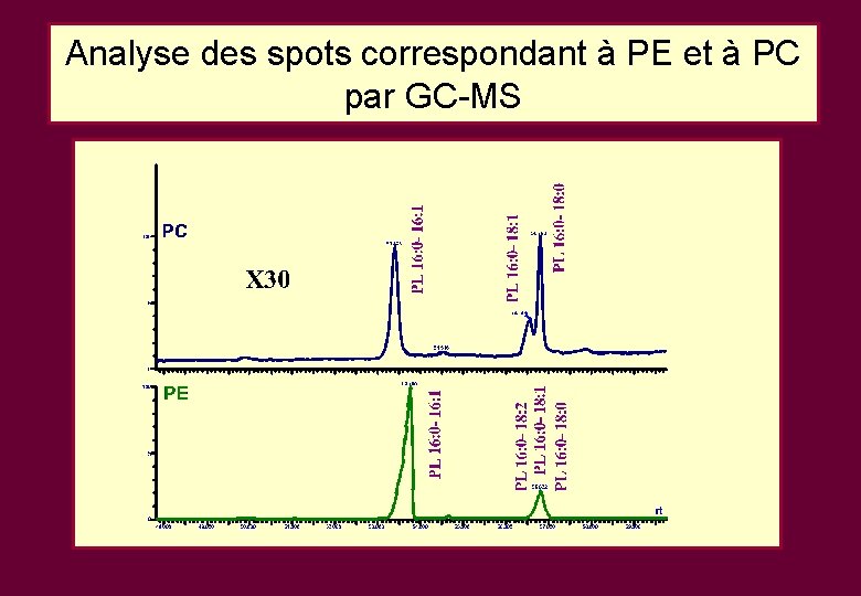 Analyse des spots correspondant à PE et à PC par GC-MS Analyse des spots correspondant à PE et à PC par GC-MS
