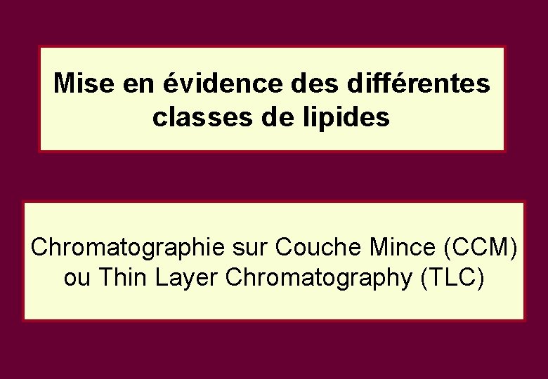 Mise en évidence des différentes classes de lipides Chromatographie sur Couche Mince (CCM) ou Mise en évidence des différentes classes de lipides Chromatographie sur Couche Mince (CCM) ou