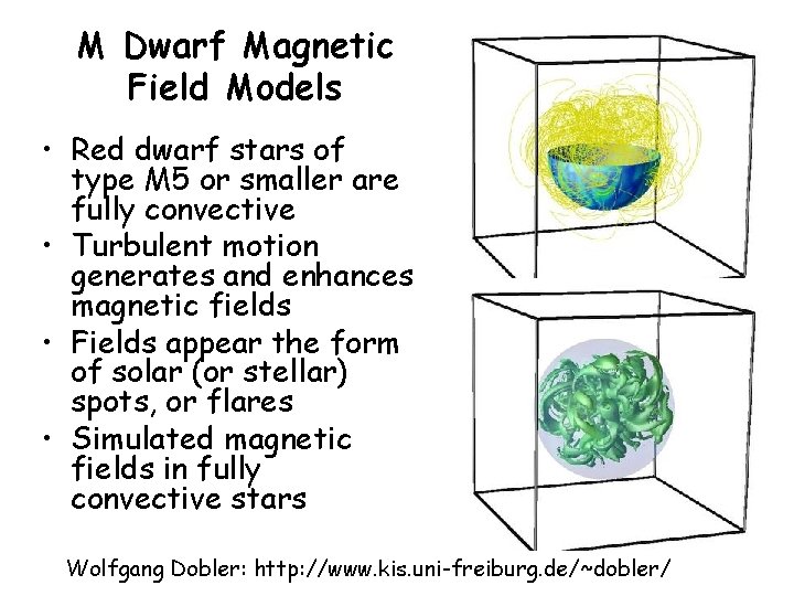 M Dwarf Magnetic Field Models • Red dwarf stars of type M 5 or