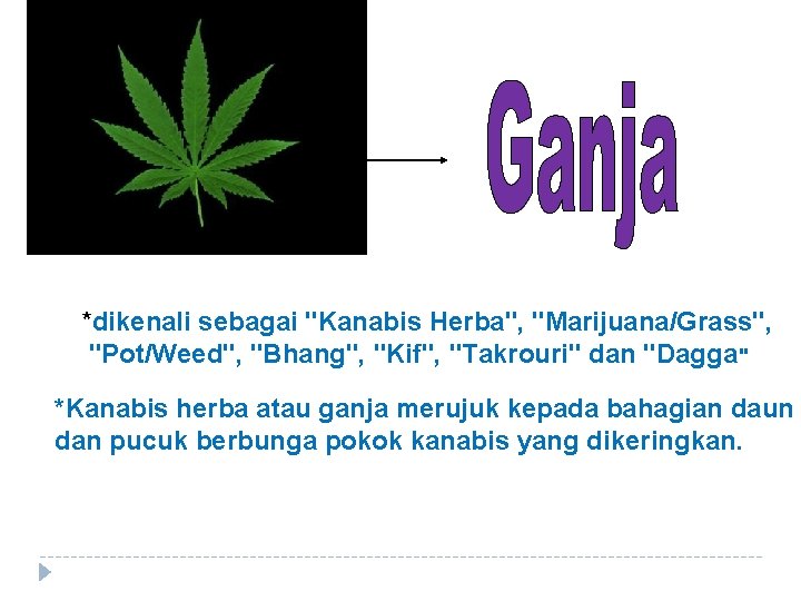 *dikenali sebagai "Kanabis Herba", "Marijuana/Grass", "Pot/Weed", "Bhang", "Kif", "Takrouri" dan "Dagga" *Kanabis herba atau
