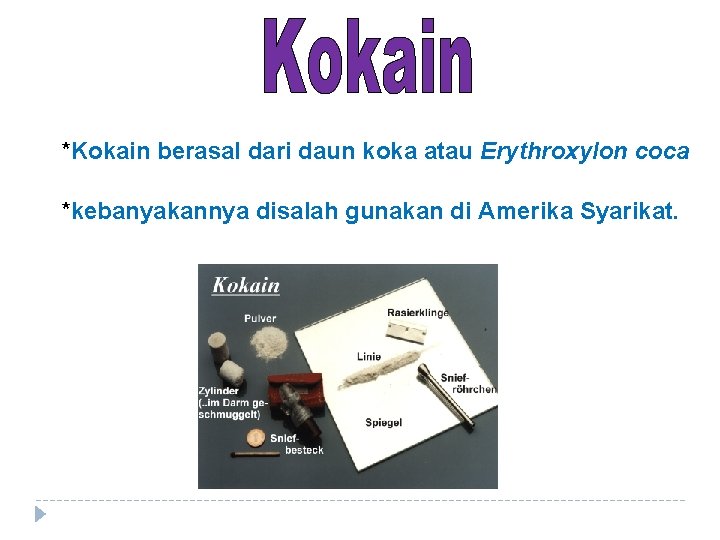 *Kokain berasal dari daun koka atau Erythroxylon coca *kebanyakannya disalah gunakan di Amerika Syarikat.