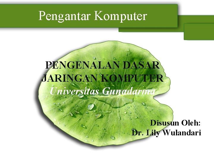 Pengantar Komputer PENGENALAN DASAR JARINGAN KOMPUTER Universitas Gunadarma Disusun Oleh: Dr. Lily Wulandari 