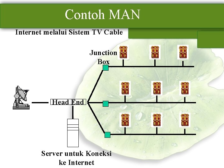 Contoh MAN Internet melalui Sistem TV Cable Junction Box Head End Server untuk Koneksi