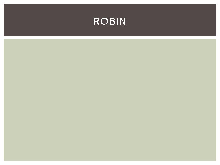 ROBIN 