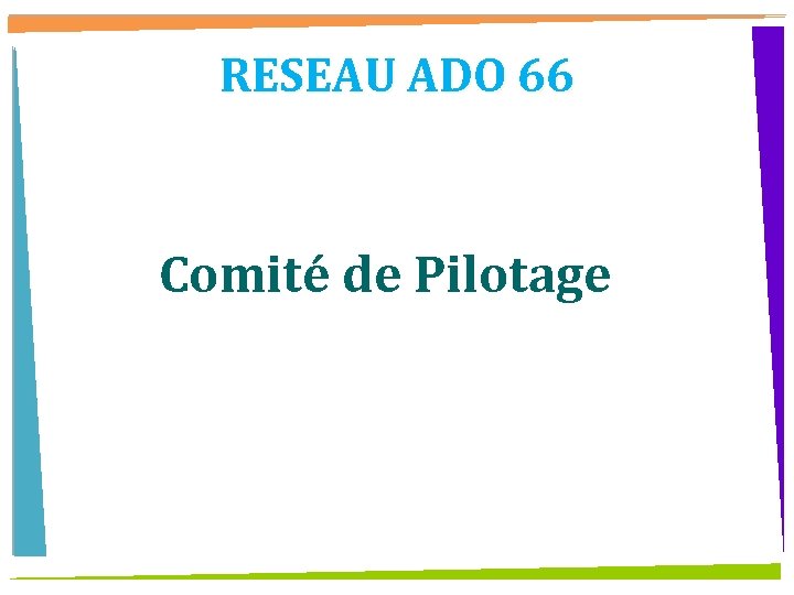 RESEAU ADO 66 Comité de Pilotage 