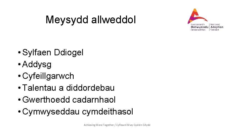 Meysydd allweddol • Sylfaen Ddiogel • Addysg • Cyfeillgarwch • Talentau a diddordebau •