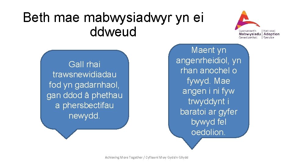 Beth mae mabwysiadwyr yn ei ddweud Gall rhai trawsnewidiadau fod yn gadarnhaol, gan ddod