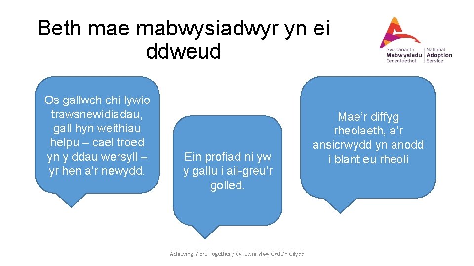 Beth mae mabwysiadwyr yn ei ddweud Os gallwch chi lywio trawsnewidiadau, gall hyn weithiau