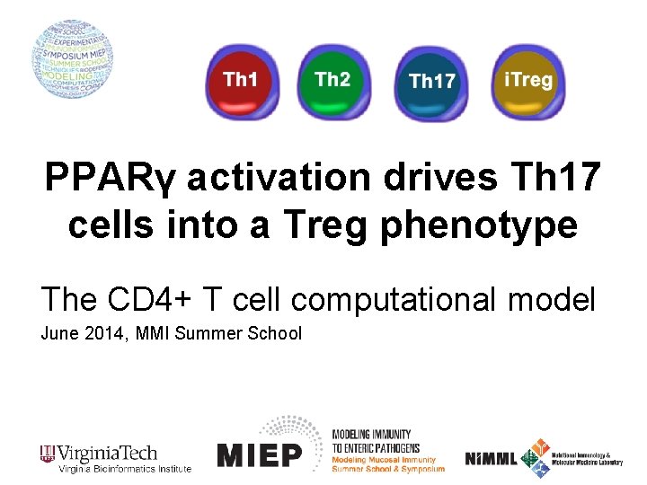 PPARγ activation drives Th 17 cells into a Treg phenotype The CD 4+ T