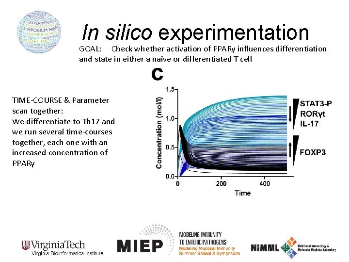 In silico experimentation GOAL: Check whether activation of PPARγ influences differentiation and state in