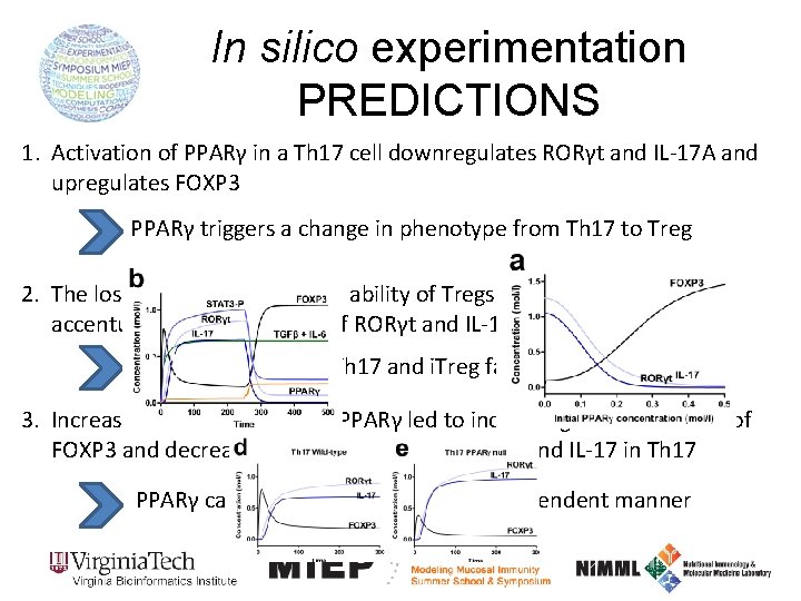 In silico experimentation PREDICTIONS 1. Activation of PPARγ in a Th 17 cell downregulates