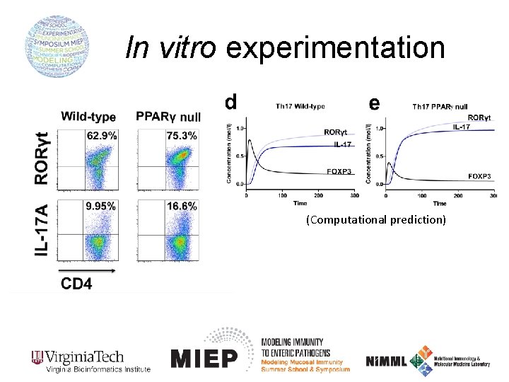 In vitro experimentation (Computational prediction) 
