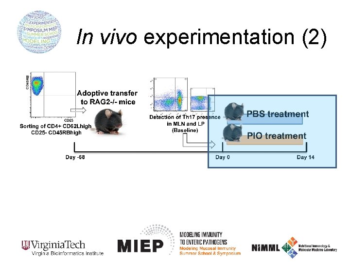 In vivo experimentation (2) 