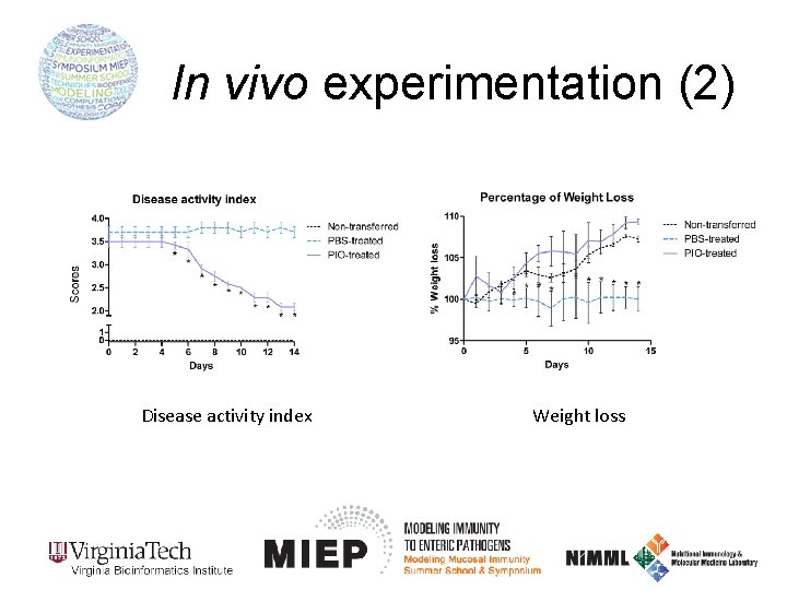 In vivo experimentation (2) Disease activity index Weight loss 