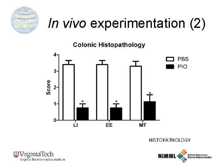 In vivo experimentation (2) HISTOPATHOLOGY 