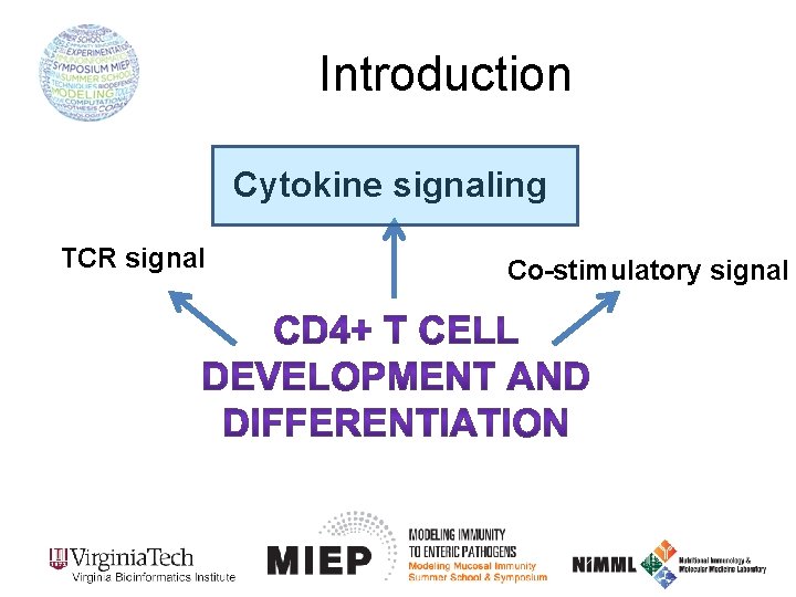 Introduction Cytokine signaling TCR signal Co-stimulatory signal 