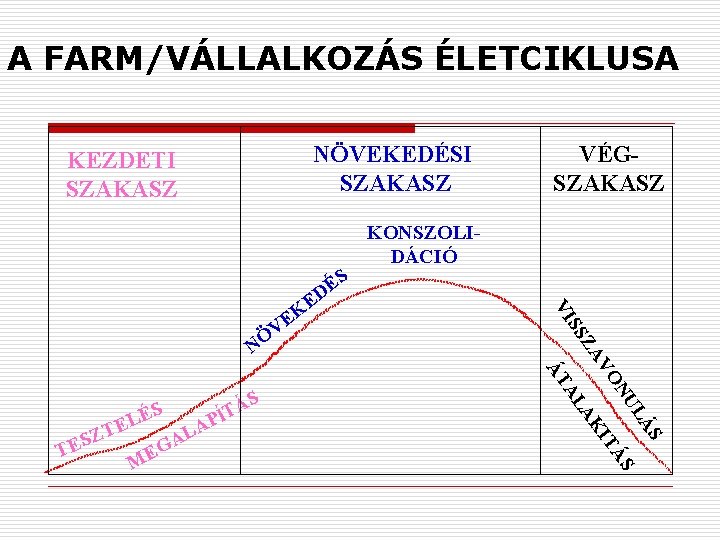 A FARM/VÁLLALKOZÁS ÉLETCIKLUSA NÖVEKEDÉSI SZAKASZ KEZDETI SZAKASZ ÁS IT S LÁ NU VO AK