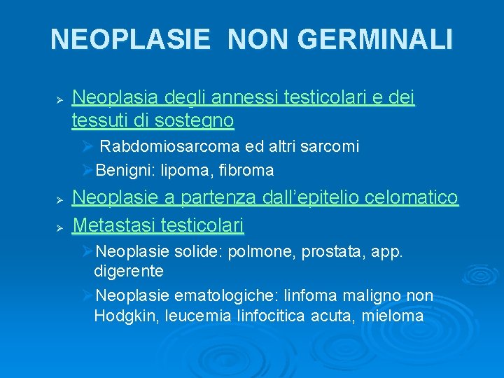 NEOPLASIE NON GERMINALI Ø Neoplasia degli annessi testicolari e dei tessuti di sostegno Ø