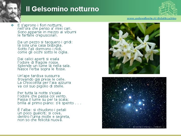 Il Gelsomino notturno www. polovalboite. it/didattica. htm v E s'aprono i fiori notturni, nell'ora