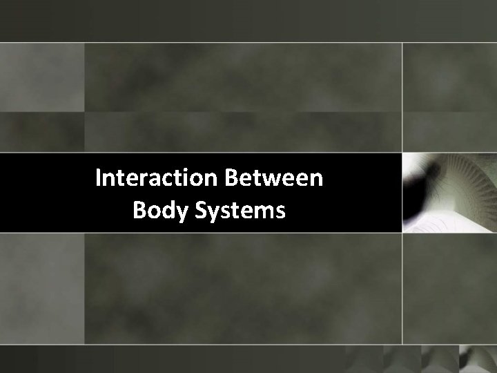 Interaction Between Body Systems 