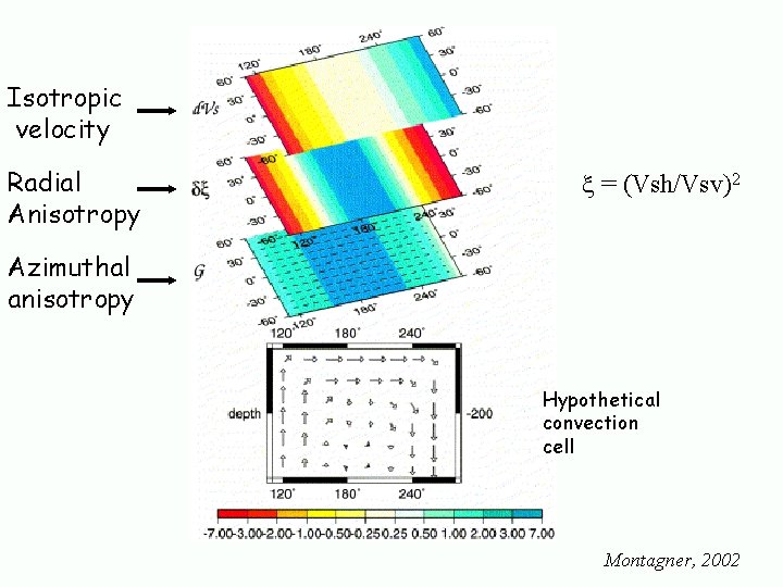 Isotropic velocity Radial Anisotropy x = (Vsh/Vsv)2 Azimuthal anisotropy Hypothetical convection cell Montagner, 2002