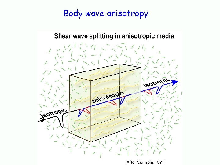 Body wave anisotropy s 