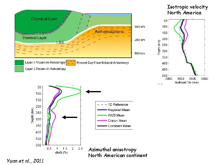 Isotropic velocity North America Yuan et al. , 2011 Azimuthal anisotropy North American continent