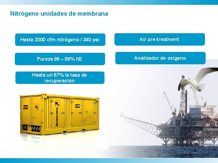 Nitrógeno unidades de membrana Hasta 2000 cfm nitrógeno / 340 psi Air pre-treatment Pureza