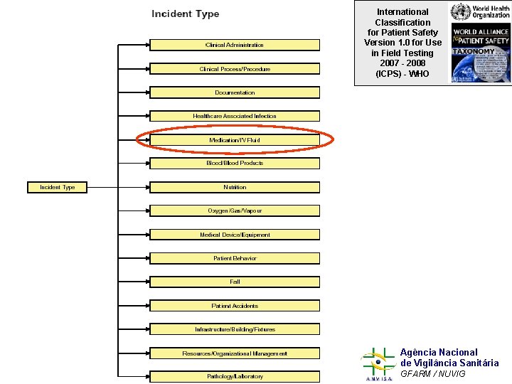 International Classification for Patient Safety Version 1. 0 for Use in Field Testing 2007