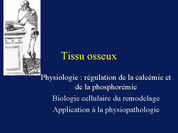 Tissu osseux Physiologie : régulation de la calcémie et de la phosphorémie Biologie cellulaire