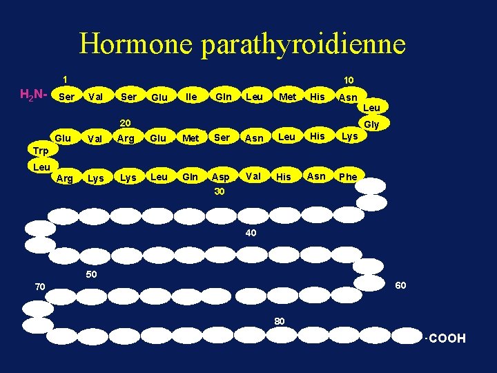 Hormone parathyroidienne 1 H 2 N- Ser 10 Val Ser Glu Ile Gln Leu