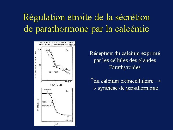 Régulation étroite de la sécrétion de parathormone par la calcémie Récepteur du calcium exprimé