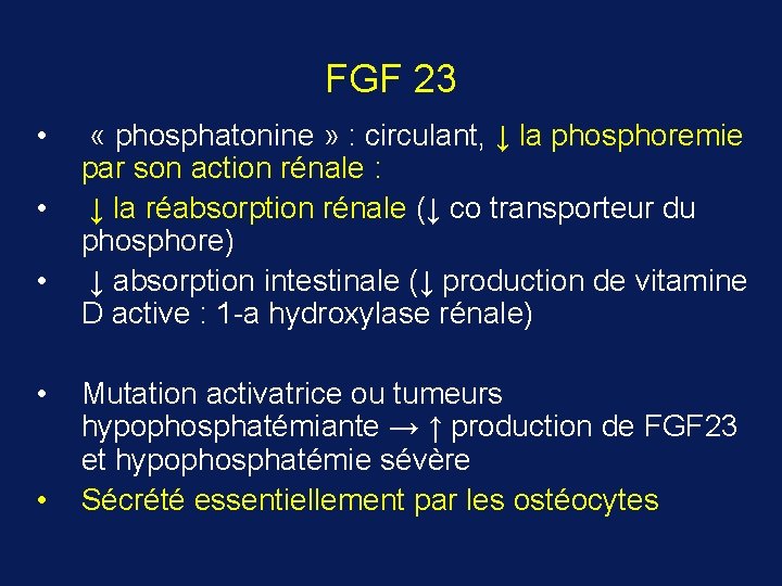 FGF 23 • • • « phosphatonine » : circulant, ↓ la phosphoremie par