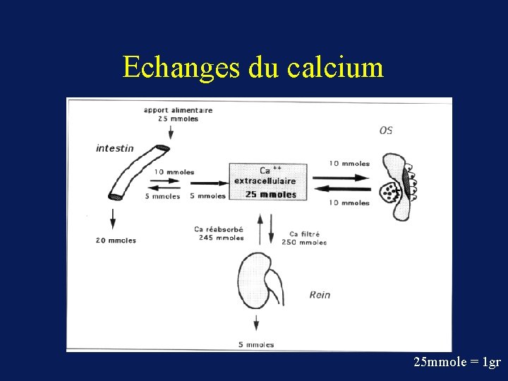 Echanges du calcium 25 mmole = 1 gr 