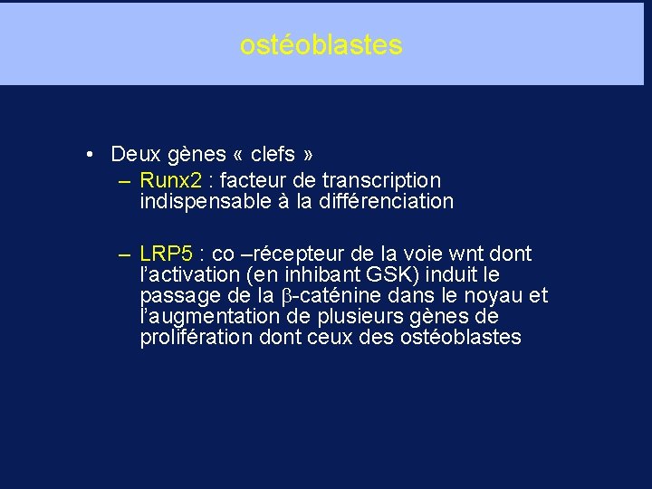 ostéoblastes • Deux gènes « clefs » – Runx 2 : facteur de transcription