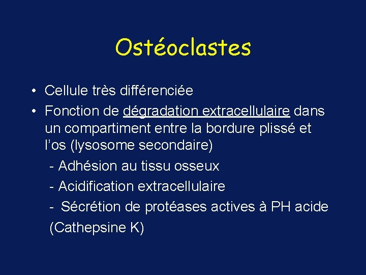 Ostéoclastes • Cellule très différenciée • Fonction de dégradation extracellulaire dans un compartiment entre