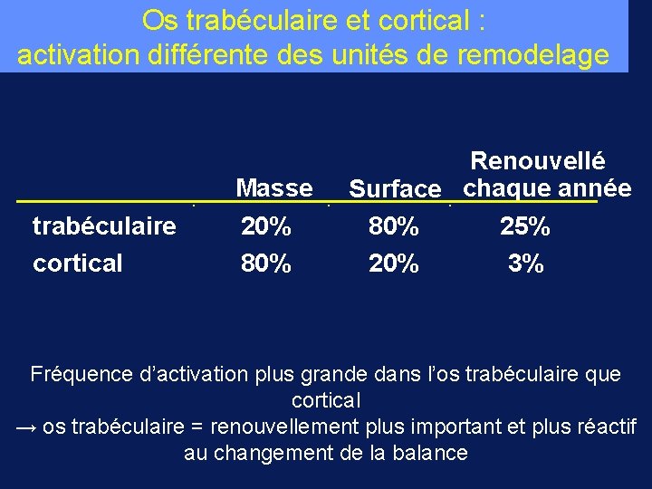 Os trabéculaire et cortical : activation différente des unités de remodelage trabéculaire cortical Masse