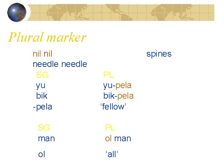 Plural marker (1) nil needle (2) SG yu bik haus -pela (3) ‘spines’ PL