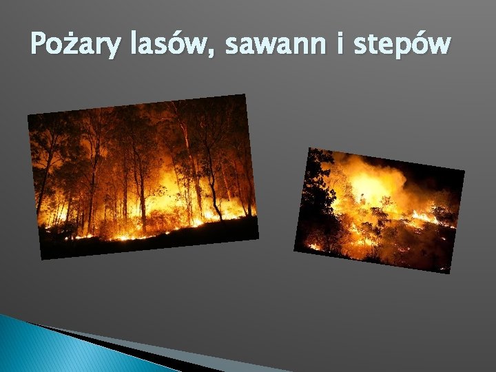 Pożary lasów, sawann i stepów 