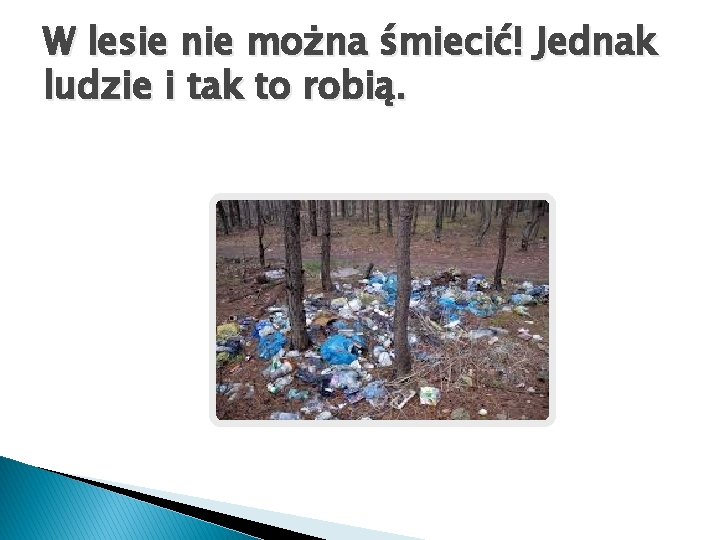 W lesie nie można śmiecić! Jednak ludzie i tak to robią. 