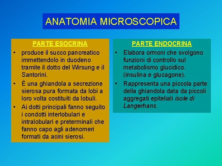 ANATOMIA MICROSCOPICA PARTE ESOCRINA • produce il succo pancreatico immettendolo in duodeno tramite il