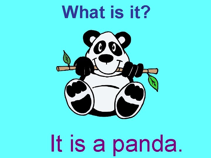 What is it? It is a panda. 