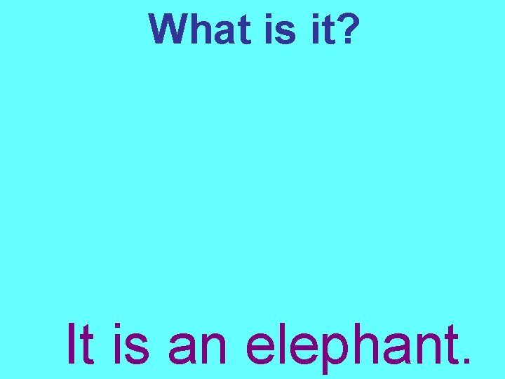 What is it? It is an elephant. 