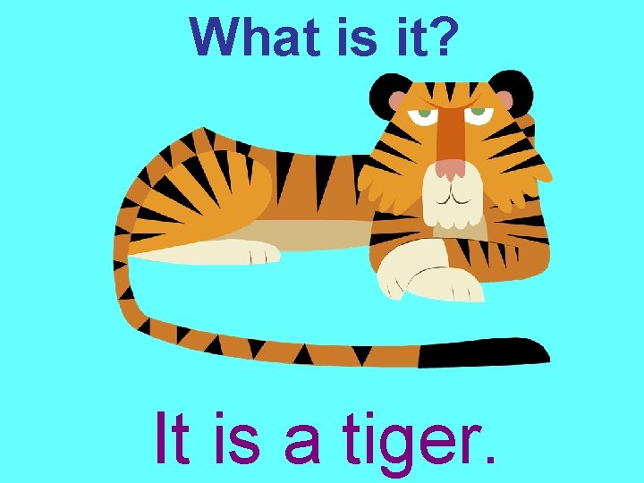 What is it? It is a tiger. 