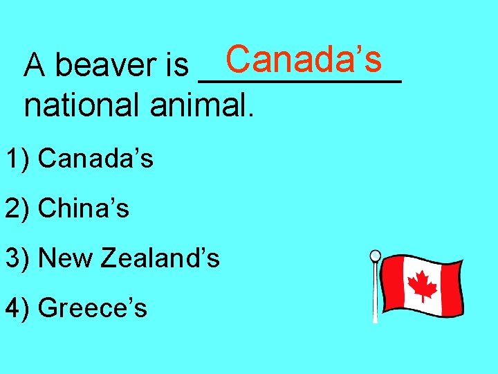 Canada’s A beaver is ______ national animal. 1) Canada’s 2) China’s 3) New Zealand’s