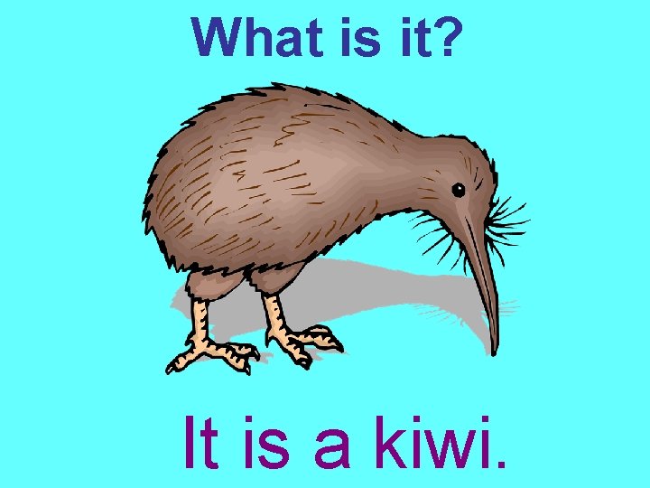 What is it? It is a kiwi. 