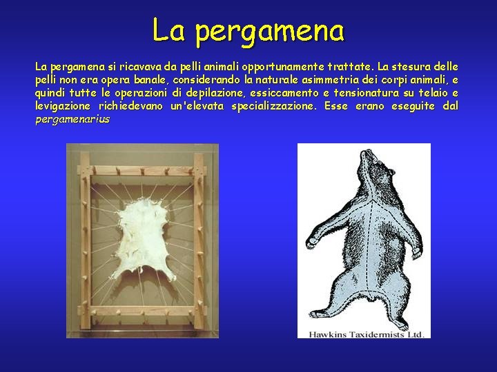 La pergamena si ricavava da pelli animali opportunamente trattate. La stesura delle pelli non