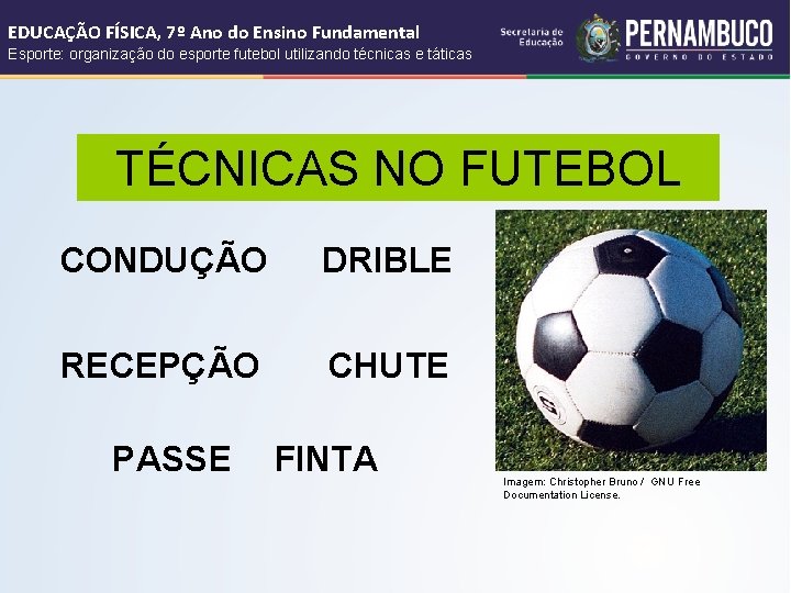 EDUCAÇÃO FÍSICA, 7º Ano do Ensino Fundamental Esporte: organização do esporte futebol utilizando técnicas EDUCAÇÃO FÍSICA, 7º Ano do Ensino Fundamental Esporte: organização do esporte futebol utilizando técnicas