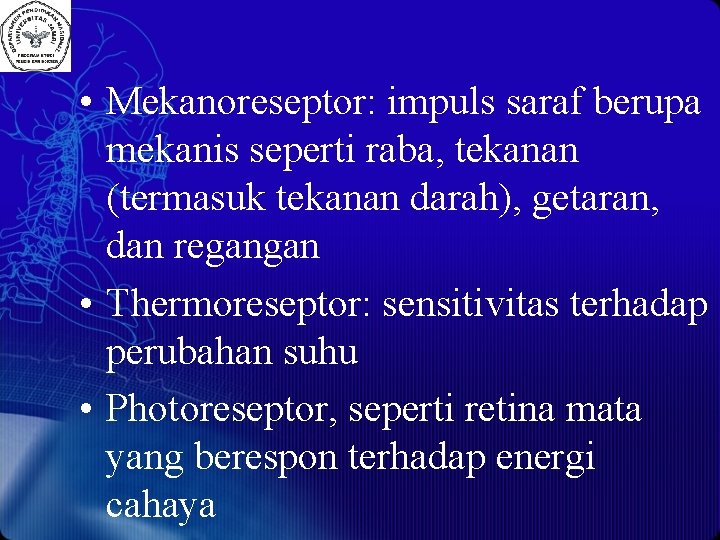  • Mekanoreseptor: impuls saraf berupa mekanis seperti raba, tekanan (termasuk tekanan darah), getaran,