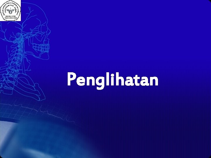 Penglihatan 